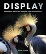 Display - Steve Parker - 9780711278523