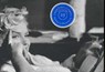 Snaps - ERWITT,  Elliott - 9780714847634