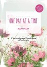 One Day at a Time Diary 2020 - Abby Wynne - 9780717185719
