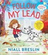 Follow My Lead - Niall Breslin - 9780717199112