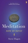 Meditation Now or Never - Steve Hagen - 9780718193058