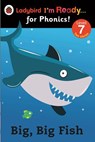 Big, Big Fish: Ladybird I'm Ready for Phonics Level 7 - Penguin Random House Children's UK - 9780723276715