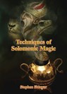 Techniques of Solomonic Magic - Stephen Skinner - 9780738748061
