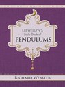 Llewellyn's Little Book of Pendulums - Richard Webster - 9780738778983