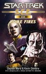 Star Trek: Home Fires - Dayton Ward ; Kevin Dilmore - 9780743475914