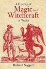 A History of Magic and Witchcraft in Wales - Richard Suggett - 9780752428260