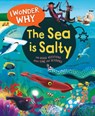I Wonder Why the Sea Is Salty - Anita Ganeri - 9780753479315
