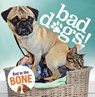 Bad Dogs - Ebury Publishing - 9780753551844