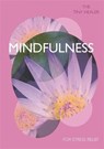 Tiny Healer: Mindfulness - Pyramid - 9780753733493