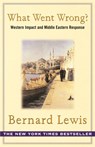 What Went Wrong? - Bernard Lewis - 9780753816752