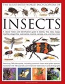 The Illustrated World Encyclopaedia of Insects - Martin Walters - 9780754819097