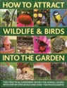 How to Attract Wildlife & Birds into the Garden - Christine Lavelle ; Michael Lavelle - 9780754823728
