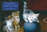 Card Box of 20 Notecards and Envelopes: Kittens and Cats -  - 9780754825852