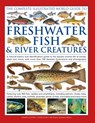 The Complete Illustrated World Guide to Freshwater Fish and River Creatures - Daniel Gilpin - 9780754836308