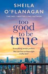 Too Good To Be True - Sheila O'Flanagan - 9780755329946