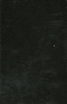 Statesmen Who Were Never President - THOMPSON,  Kenneth W. - 9780761805328