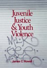 Juvenile Justice and Youth Violence - James C. Howell - 9780761903734