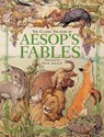 The Classic Treasury Of Aesop's Fables - Don Daily - 9780762428762