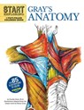 Start Exploring: Gray's Anatomy - Freddy Stark - 9780762440733