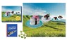 Sushi Cats 500-Piece Puzzle - Sam Stall ; Tange & Nakimushi Peanuts - 9780762475483