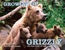 Growing Up Grizzly - Amy Shapira ; Douglas Chadwick - 9780762777020