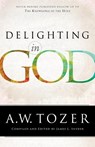 Delighting in God - A.w. Tozer ; James L. Snyder - 9780764217012