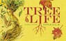 Tree of Life Oracle - Elaine Clayton - 9780764343988