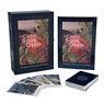 Celtic Book of the Dead: An Oracle to Steer Your Life Journey - Caitlín Matthews - 9780764364921