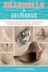 Seashells of Delmarva - Melissa Avstreih - 9780764371127