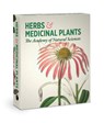 Herbs and Medicinal Plants Knowledge Cards -  - 9780764915963
