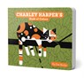 Charley Harper's Book of Colors - Charley Harper ; Zoe Burke - 9780764972614