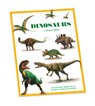 Dinosaurs Sticker Book -  - 9780764981340
