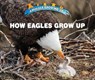 How Eagles Grow Up - NIVER,  Heather Moore - 9780766096400