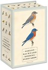 Sibley Backyard Birding Postcards -  - 9780770433963