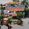 What Is a Flood? - Robin Johnson - 9780778724278