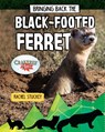 Bringing Back the Black-Footed Ferret - Rachel Stuckey - 9780778763123