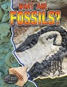 What Are Fossils? - Lets Rock - Natalie Hyde - 9780778772194