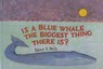 Is a Blue Whale the Biggest Thing There Is? - WELLS,  Robert E. - 9780780779259