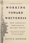 Working Toward Whiteness - David R. Roediger - 9780786722105
