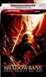 Shadowbane - Erik Scott De Bie - 9780786959358