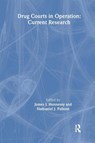 Drug Courts in Operation - James Joseph Hennessy - 9780789016959