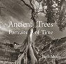 Ancient Trees - Beth Moon - 9780789211958