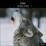 National Geographic: Wolves 2026 Wall Calendar -  - 9780789348517