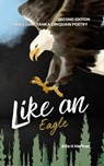 Like an Eagle - Alta H Haffner - 9780796176653