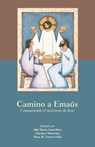 Camino a Emas - Ada Maria Isasi-Diaz ; Timoteo Matovina ; Nina M. Torres-Vidal - 9780800635701