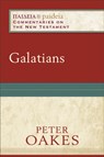 Galatians - Peter Oakes ; Mikeal Parsons ; Charles Talbert ; Bruce Longenecker - 9780801032752