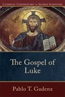 The Gospel of Luke - Pablo T. Gadenz ; Peter Williamson ; Mary Healy - 9780801037009