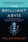 The Brilliant Abyss: Exploring the Majestic Hidden Life of the Deep Ocean, and the Looming Threat That Imperils It - Helen Scales - 9780802158239