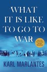 What It Is Like to Go to War - Karl Marlantes - 9780802195142