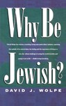 Why Be Jewish? - Rabbi David J Wolpe - 9780805039276